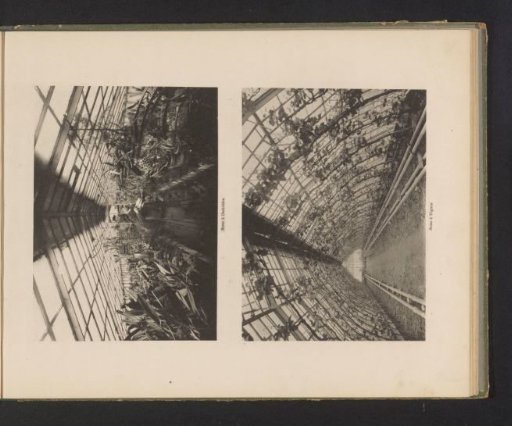 Two Views of the Interiors of the Greenhouses of the École Nationale Supérieure d'Horticulture in Versailles, France