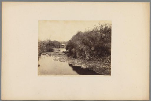 Rowing boat on the Anapo river near Syracuse, Italy