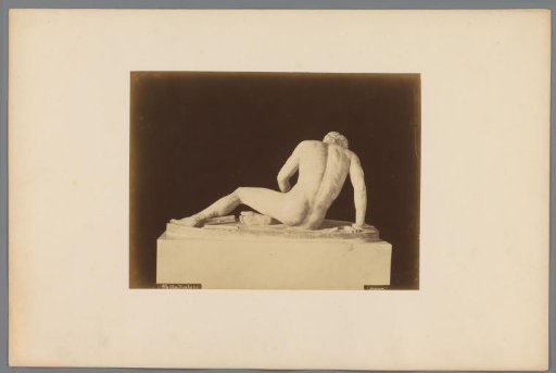 Sculpture of the Dying Gaul in the Capitoline Museums in Rome, Italy