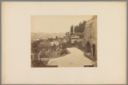 View of Rome from the Palatine, Italy