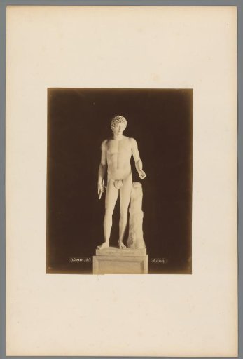 Sculpture of Adonis in the Vatican Museums, Italy