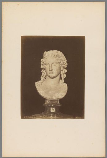 Bust of Ariadne