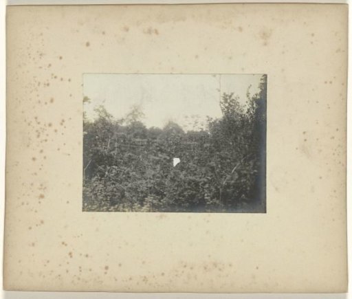 Coal train in the woods behind the Art Building at the World's Fair in St. Louis (Louisiana Purchase Exposition), 1904