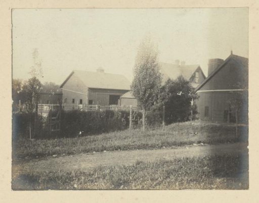 Ives' Farm [?] during the World's Fair in St. Louis (Louisiana Purchase Exposition), 1904