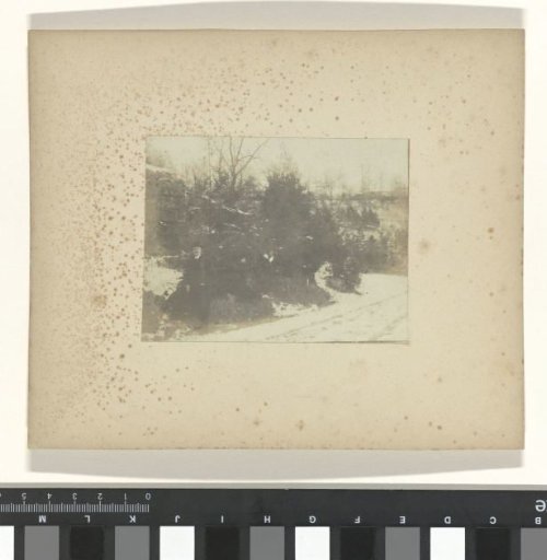 Jan C. Schüller in the Meramec Highlands during the World's Fair in St. Louis (Louisiana Purchase Exposition), 1904