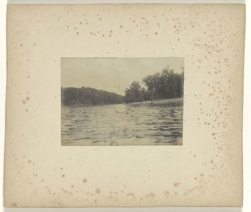 Rowboats and a swimmer, Meramec River, during the World's Fair in St. Louis (Louisiana Purchase Exposition), 1904