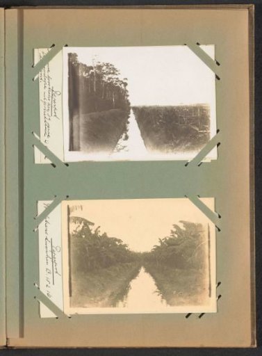 Voyage on Plantation Peperpot