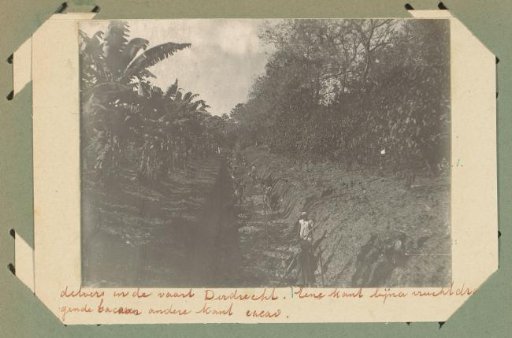 Excavation Works on Plantation Dordrecht