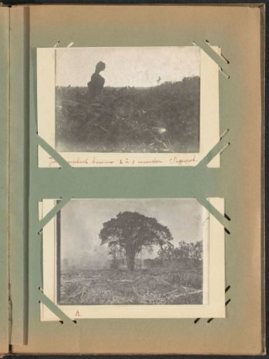 Burning of Land