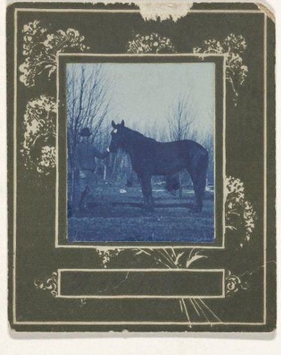 Man standing by the horse Pet
