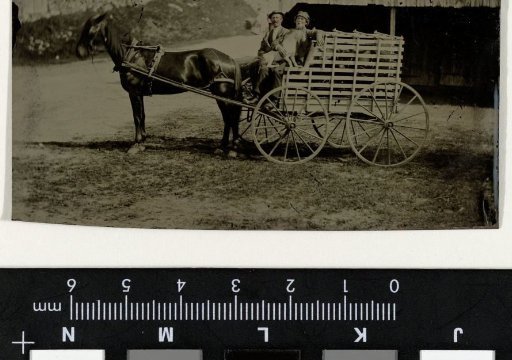 Horse and carriage with two men