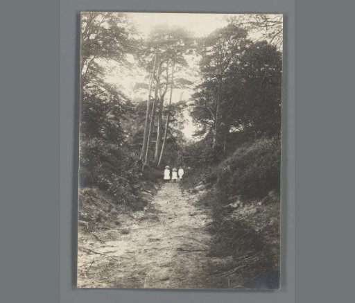 Portrait of Johanna (Nan) Vreede, Johanna (Hans) de Jong, and presumably Ewoud (Dick) Vreede on a forest path