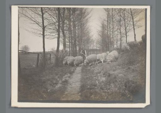 Peasant with sheep in a landscape