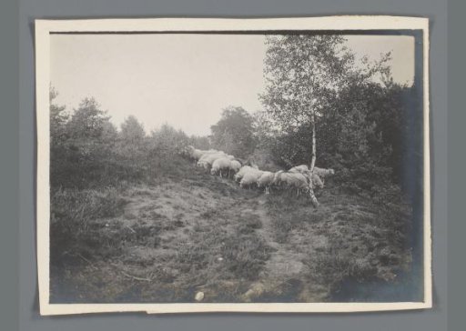Peasant with sheep in a landscape in Limburg