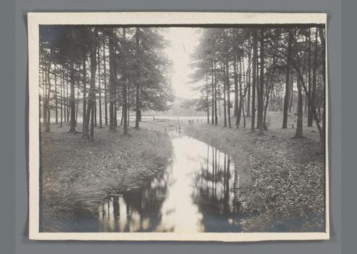 Wooded landscape with a stream in Limburg