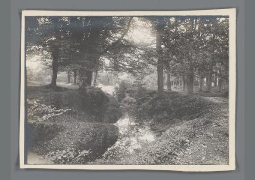 Wooded landscape with a stream in Limburg