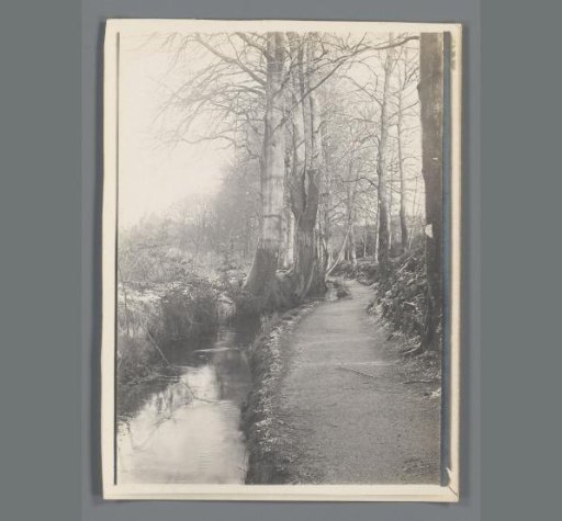 Wooded landscape with a stream in Limburg
