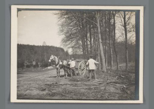 Two peasants with a horse and cart in the woods in Limburg