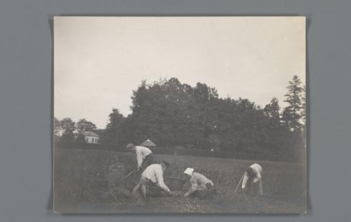 Woman and Three Men Working on the Land
