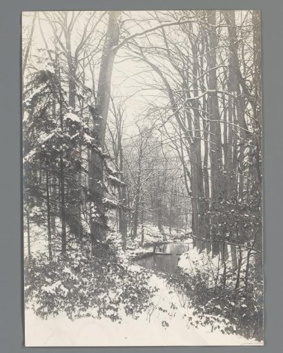 Snowy Wooded Landscape with a Stream