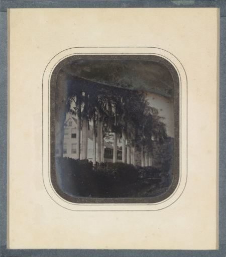 View of the Estate of F.L. Pichot, in the Suburb of Zeelandia, Suriname