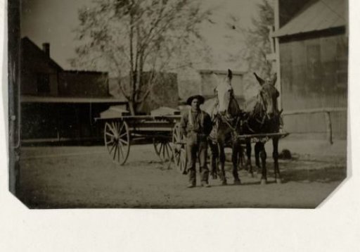 Man with a Horse-Drawn Cart, United States