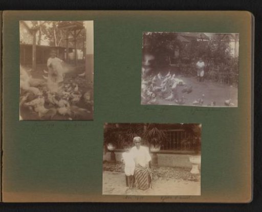 Three photographs of Han with an Indonesian nursemaid and pigeons