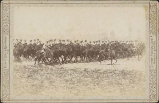 Cavalry on the heath