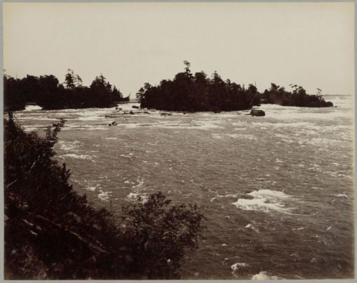 View of Niagara Falls and foliage