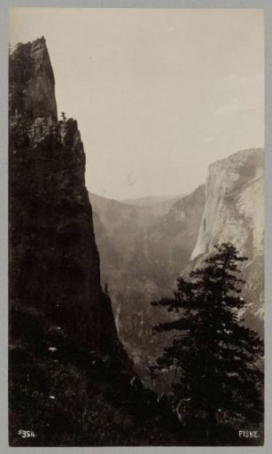 Mountain Gorge with Trees in the United States