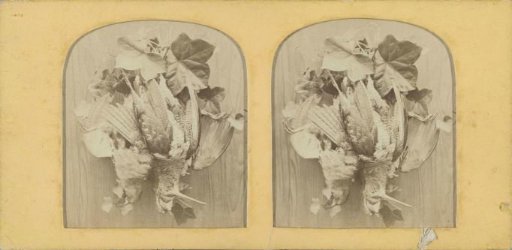 Still Life with Fowl and Leaves
