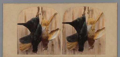 Still-life with Fowl
