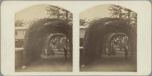 Men in a bower