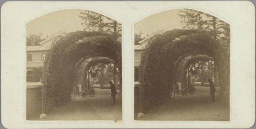 Men in a bower
