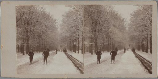 Snowy avenue with passers-by and a lamplighter, possibly in Amsterdam's Vondelpark