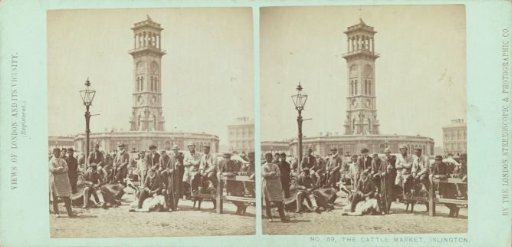 Cattle market in Islington with the Caledonian Park Clock Tower in the background