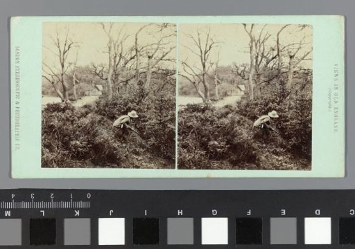 Hunter in the undergrowth in England
