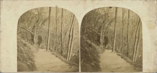 Path along a wooded mountainside in Derbyshire