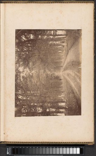 Avenue with wheel tracks