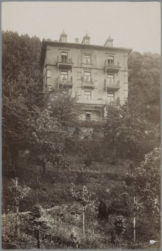 View of the Schloss Park Hotel in Heidelberg