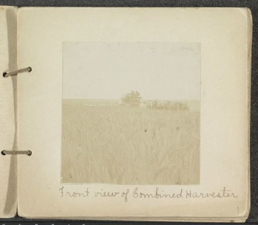 Front of a horse-drawn reaping machine in a field of grain