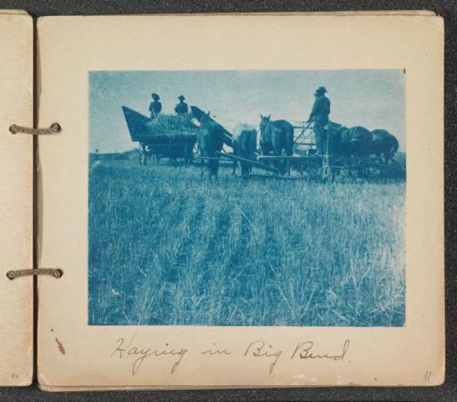 Farmers haying with a horse-drawn reaping machine