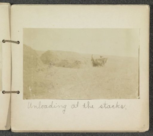 Horse and wagon near hay bales