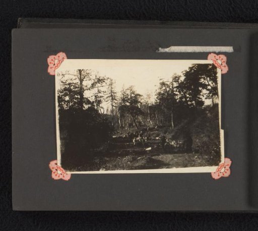 Forest with Japanese military personnel on horseback