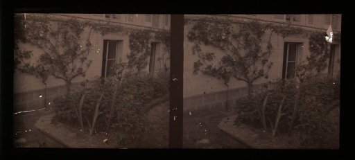Garden at a house