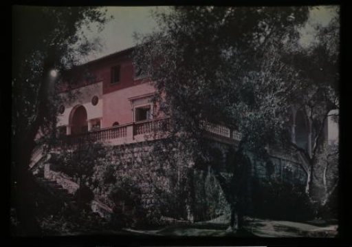 Pink stucco house with vegetation
