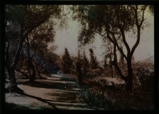 Forest path; on the right in the background a mountain