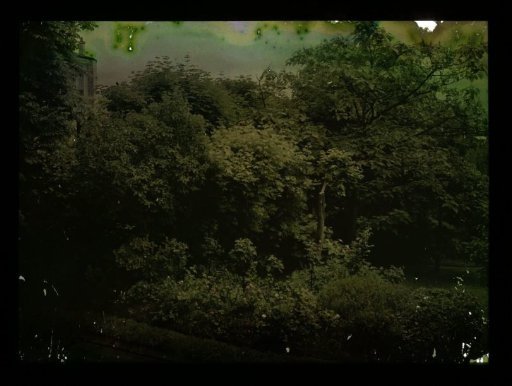 Park with trees