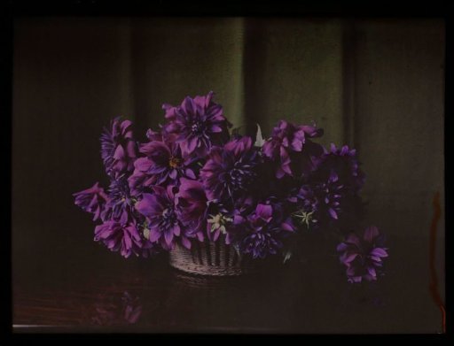 Vase with flowers