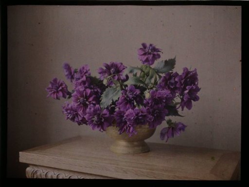 Flower piece